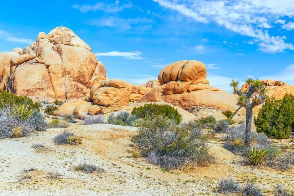 Butterfly House: A Tranquil Haven In Joshua Tree Vila Exterior foto