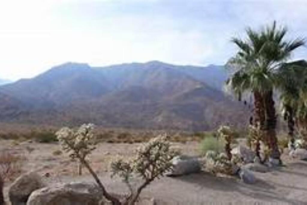 Butterfly House: A Tranquil Haven In Joshua Tree Vila Exterior foto